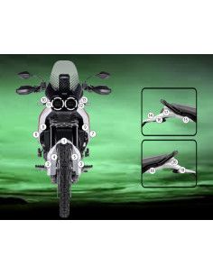 Pellicola moto Ducati Desert X